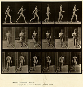 7 - Vol 1 - Plate 10